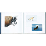 Yellowstone: A Land of Wild and Wonder
