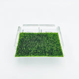 Playing Card Set with Putting Green Grass