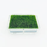 Playing Card Set with Putting Green Grass