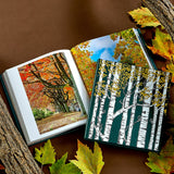 The Hidden Life of Trees