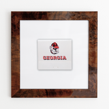University of Georgia (White)